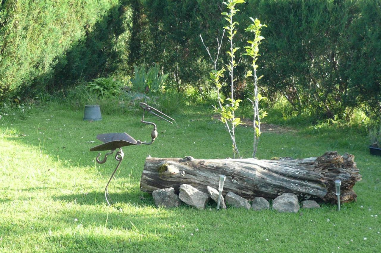 Le Petit Papillon Bed and Breakfast Eymoutiers  Eksteriør billede